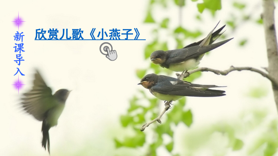 《燕子》课件.pptx_第1页