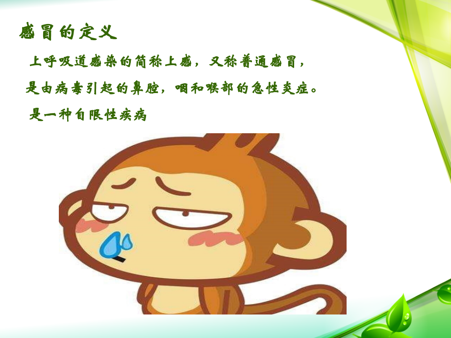 感冒讲座ppt课件.ppt_第2页