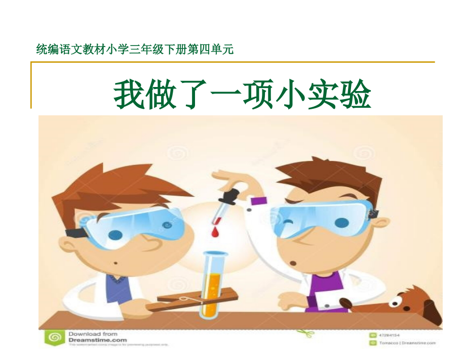 习作：我做了一项小实验.ppt_第1页