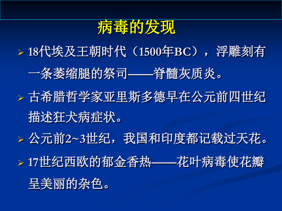 病毒的发现特点和定义.ppt_第2页