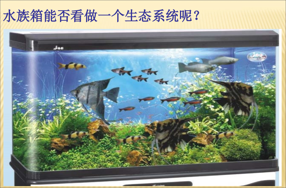 第三节生态系统.ppt_第2页
