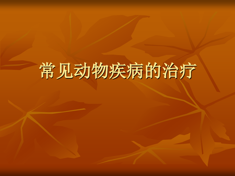常见动物疾病的治疗.ppt_第1页