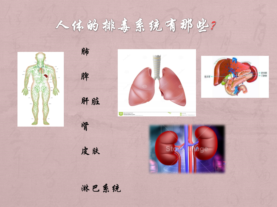 淋巴排毒.pptx_第2页