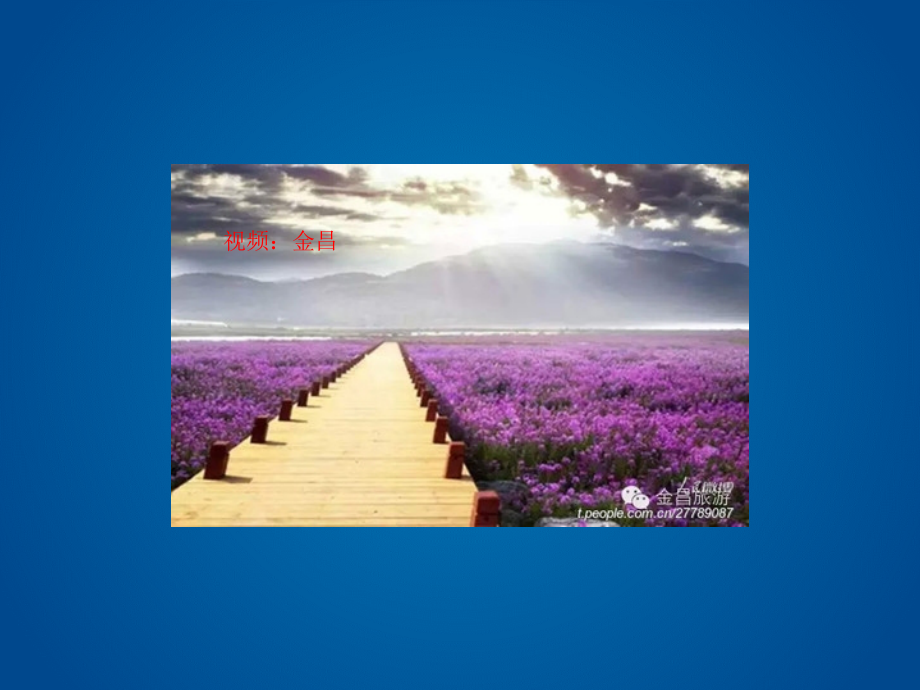 镍与人体健康.ppt_第2页