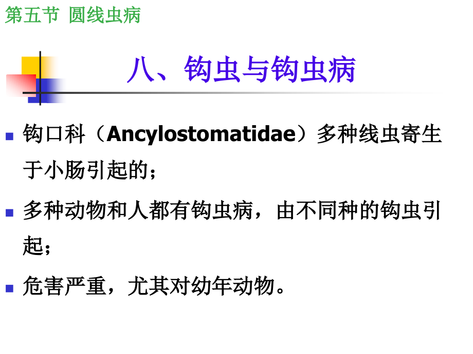 八、钩虫与钩虫病.ppt_第1页