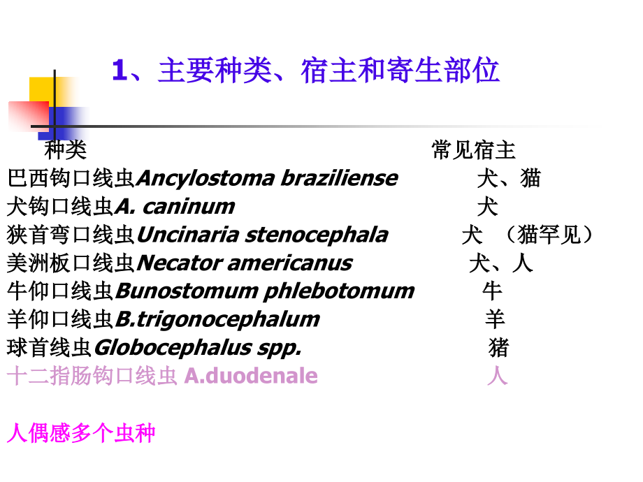 八、钩虫与钩虫病.ppt_第2页