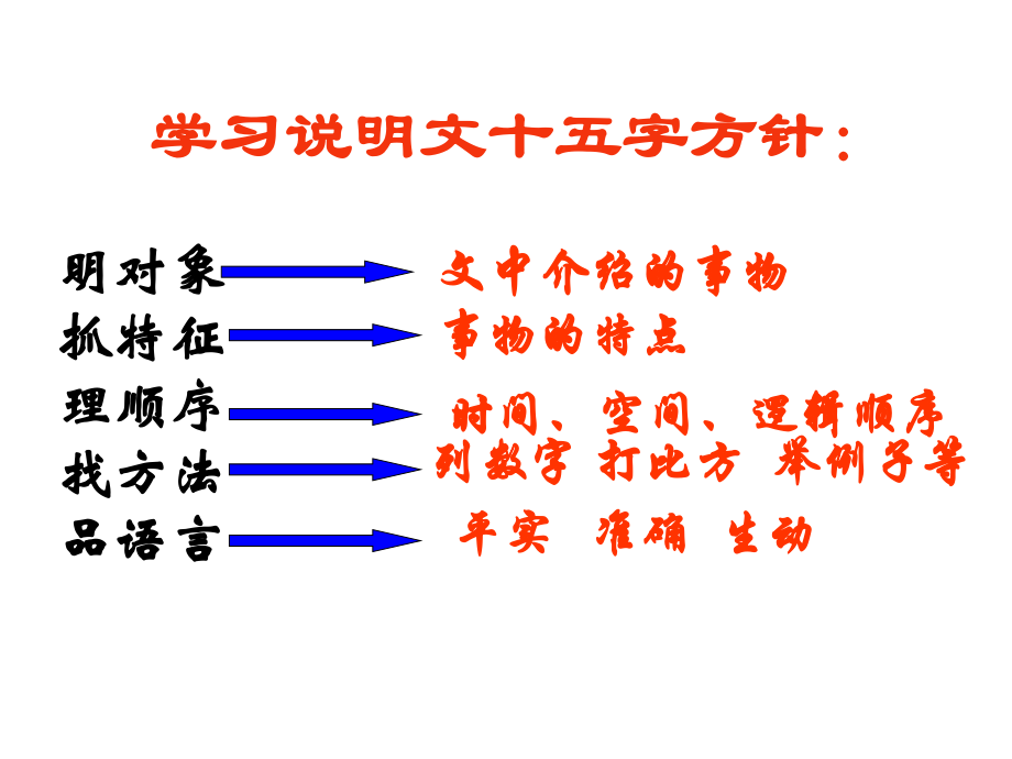 松鼠的课件.ppt_第1页