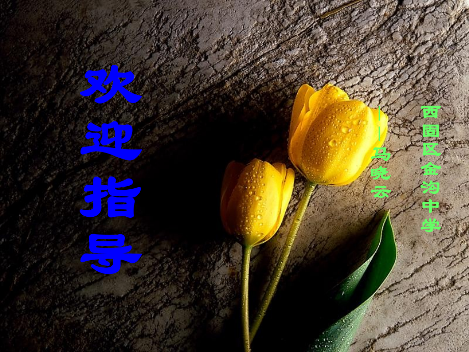 《绿》课件（自制）.ppt_第1页