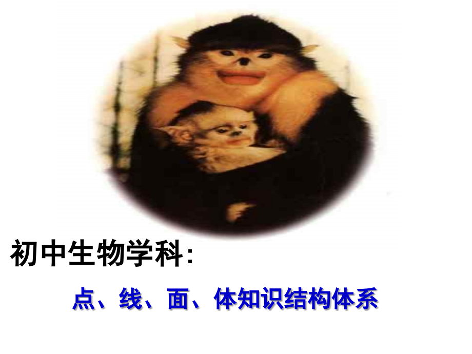 人教版初中生物教材分析.ppt_第1页