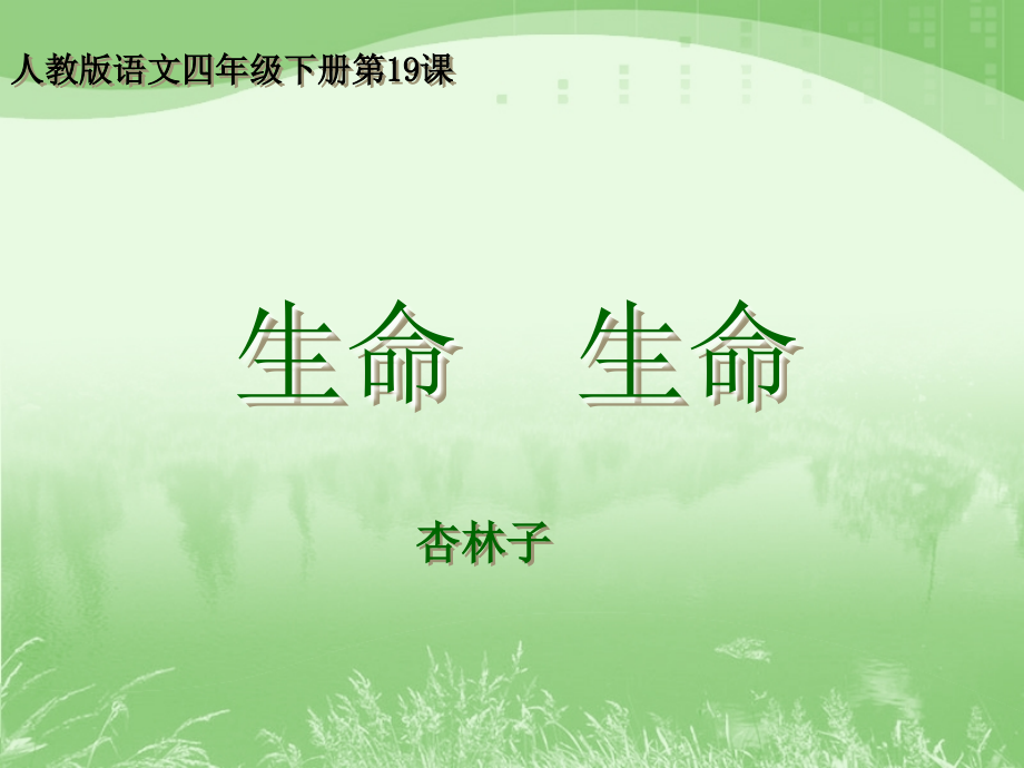 生命-生命教学课件.ppt_第1页