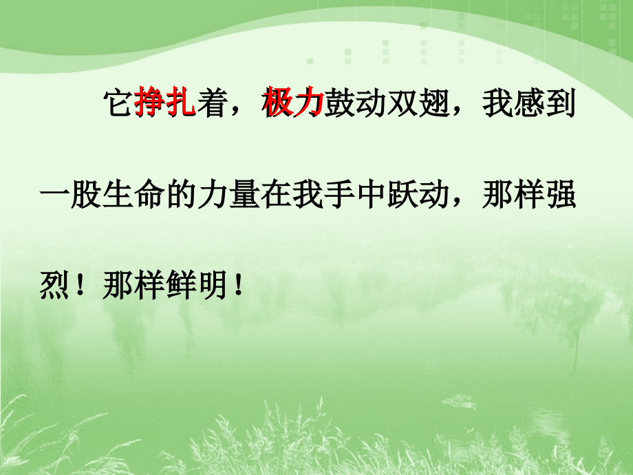 生命-生命教学课件.ppt_第2页