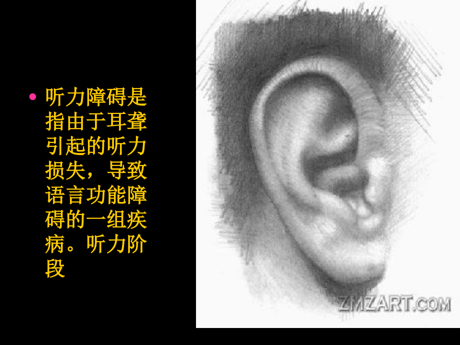 慢性 腰背疼.ppt_第2页