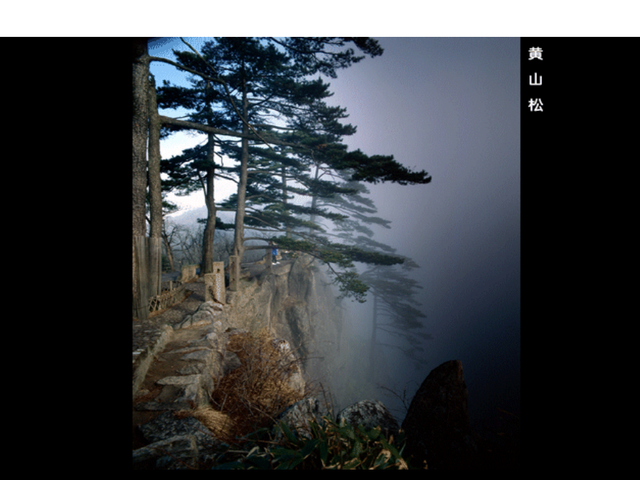 第一节旅游概述.pptx_第2页