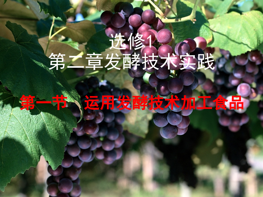 边做边学水果的发酵加工-果汁发酵制作果酒和果醋.pptx_第1页