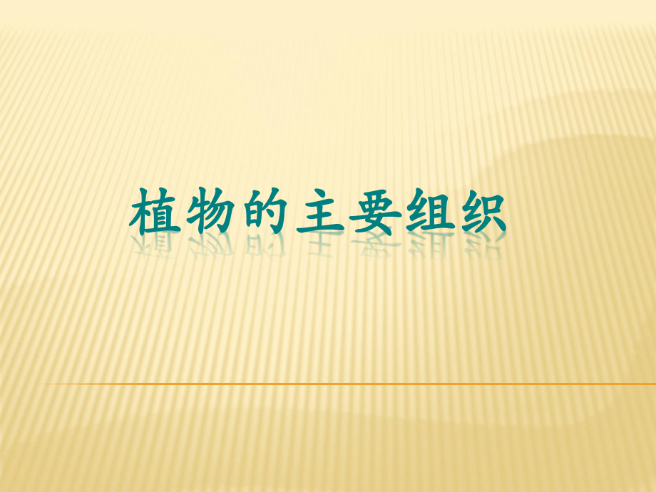 植物的主要组织.ppt_第1页
