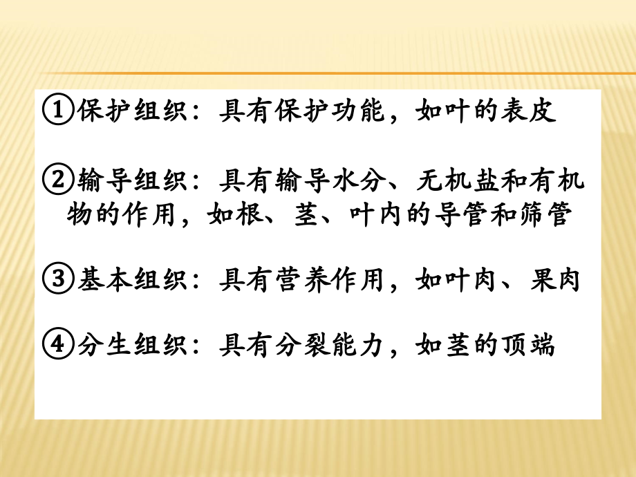 植物的主要组织.ppt_第2页