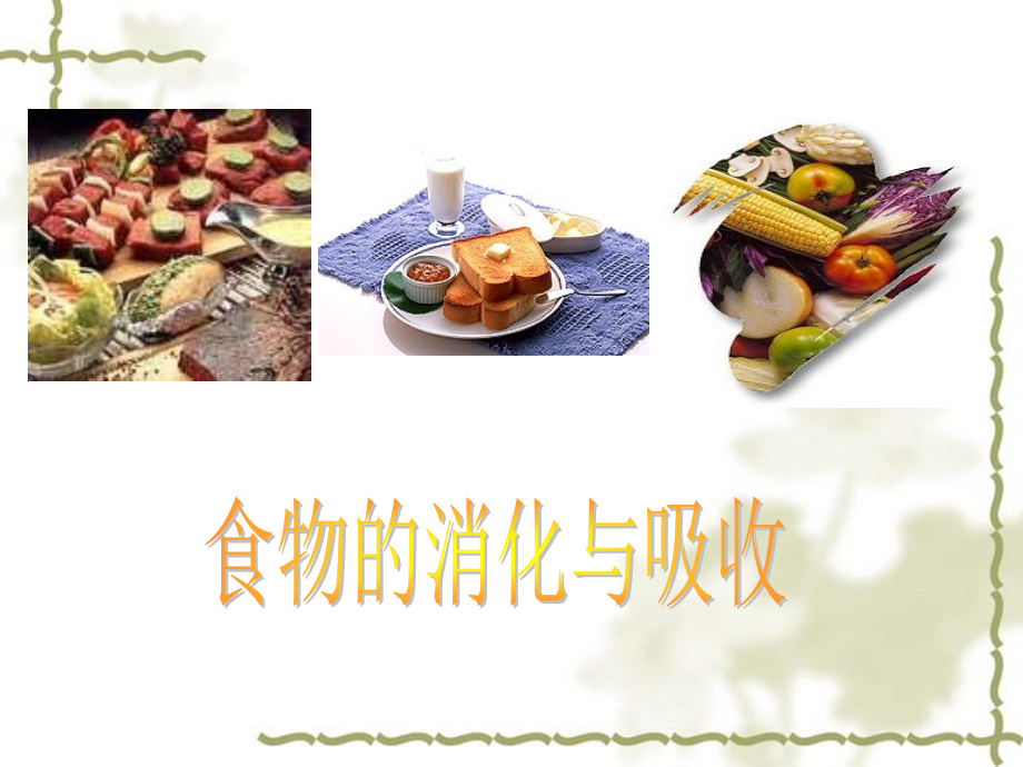 第二节 食物的消化.ppt_第1页