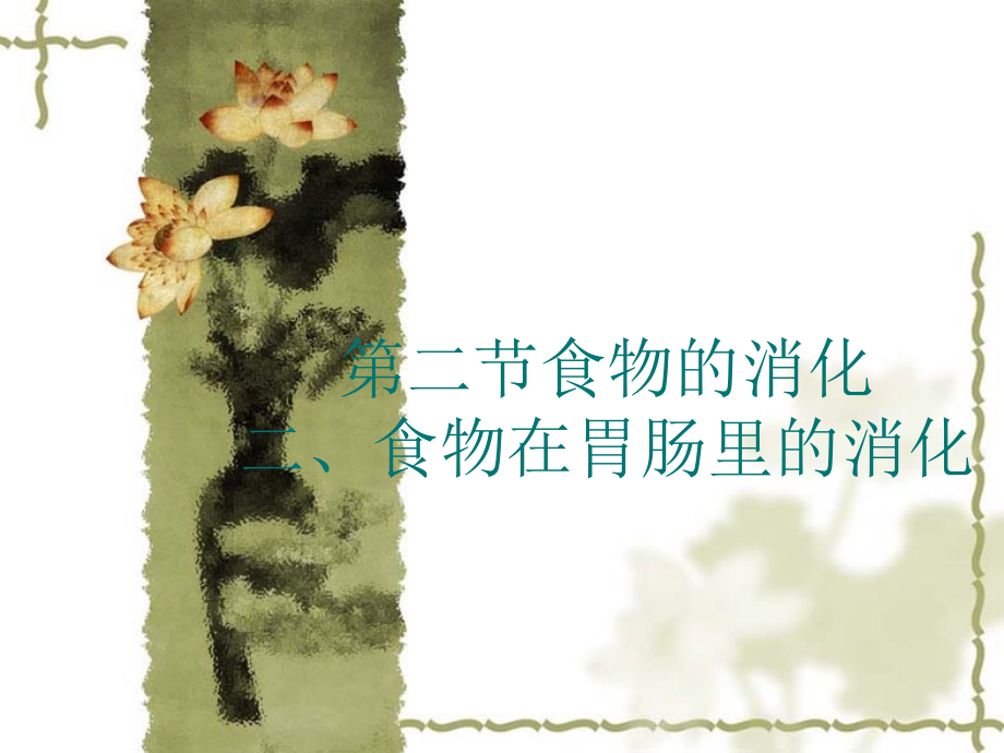 第二节 食物的消化.ppt_第2页