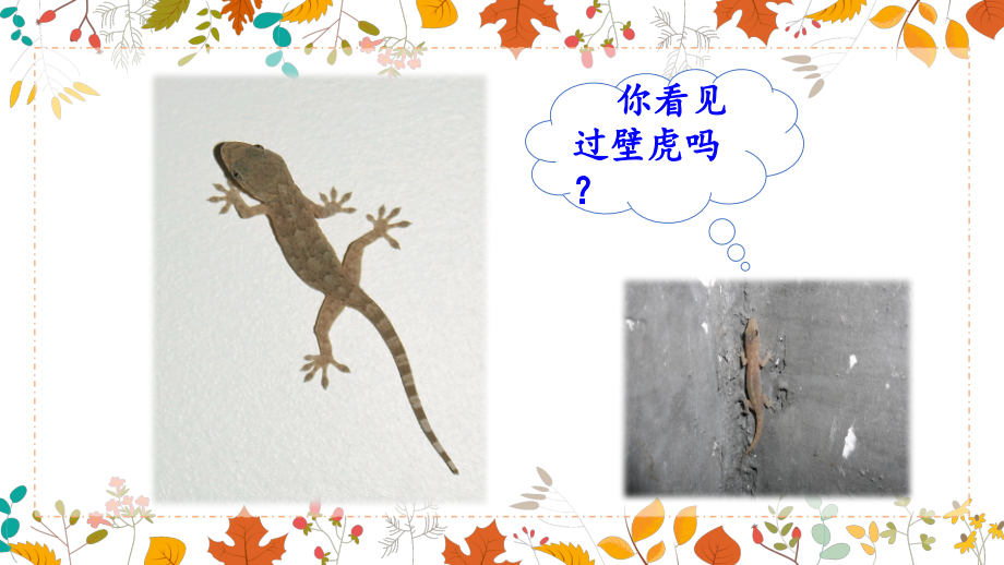 部编版一年级语文下册《小壁虎借尾巴》课件ppt.pptx_第2页