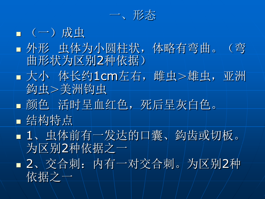 第二节 钩虫.ppt_第2页