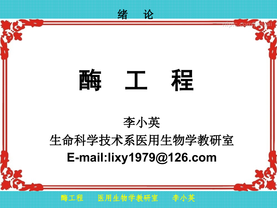 第1章酶工程基础(1).ppt_第1页
