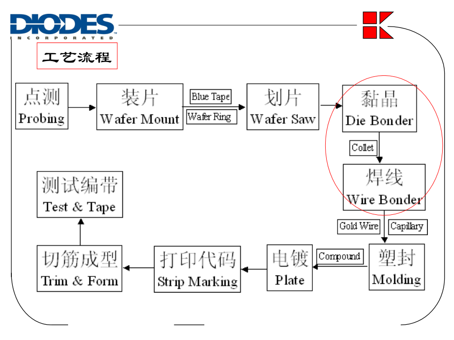 DB-WB train.ppt_第1页