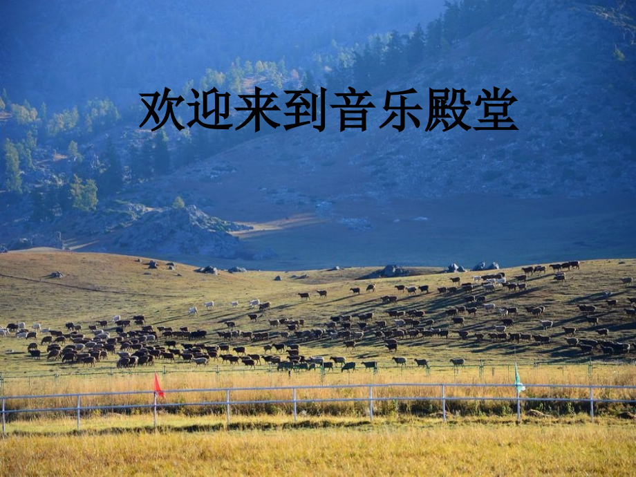 敲手鼓的小巴郎.ppt_第1页