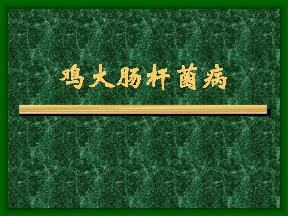 鸡病诊断图谱.ppt_第2页