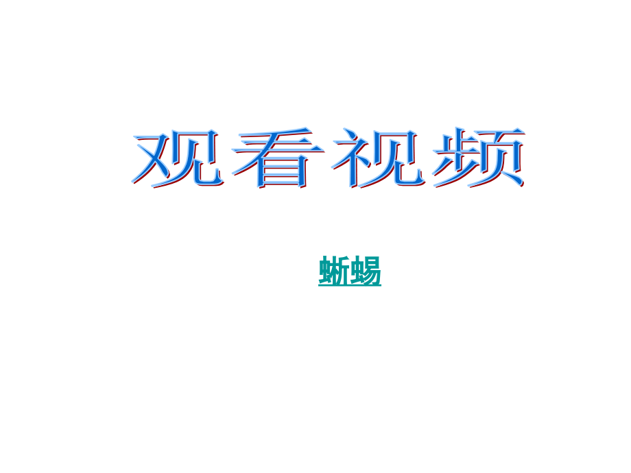 二八变色龙.ppt_第1页