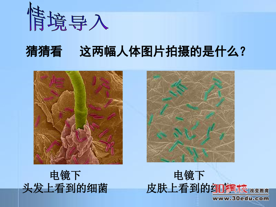 科学·技术·社会　“超级细菌”近在咫尺.ppt_第2页