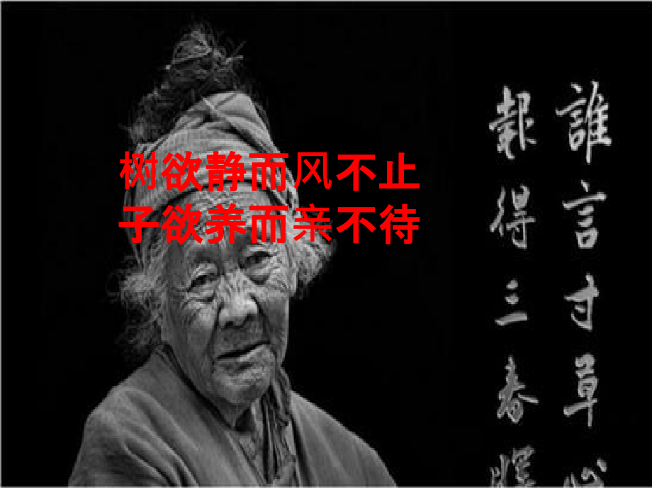 十一回忆我的母亲.pptx_第2页