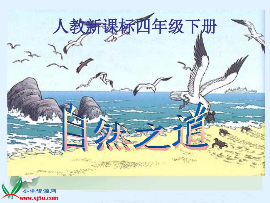 人教新课标四年级语文下册《自然之道》PPT课件.ppt_第1页