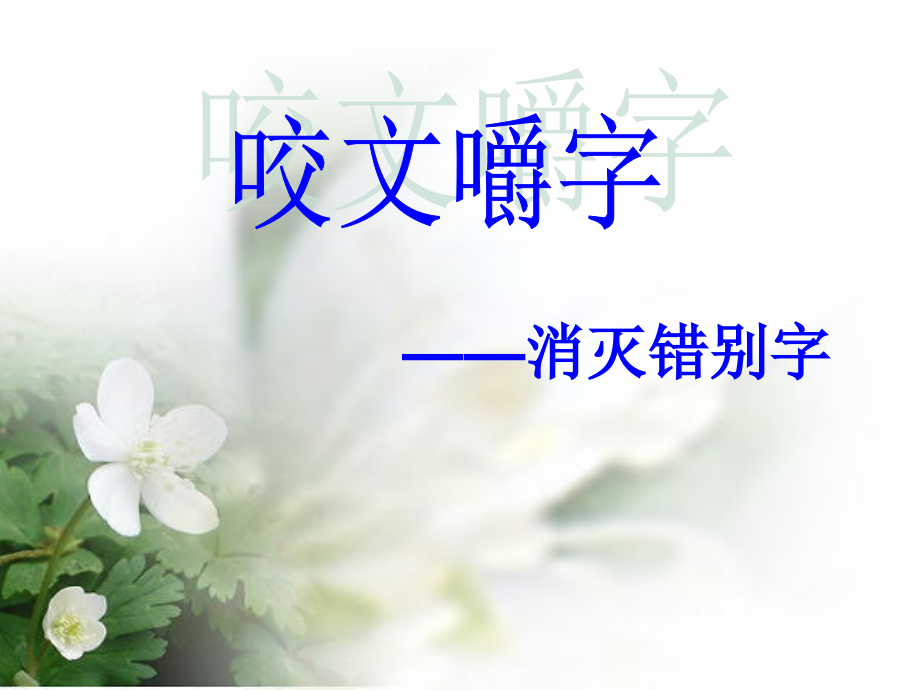 咬文嚼字——消灭错别字.ppt_第1页