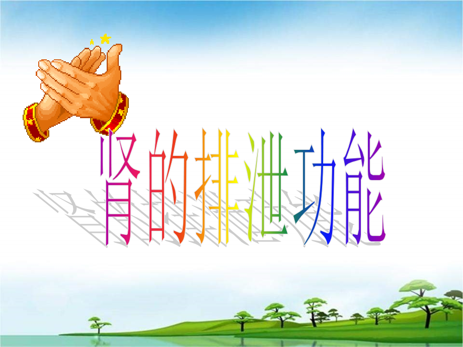 肾脏排泄功能.ppt_第1页