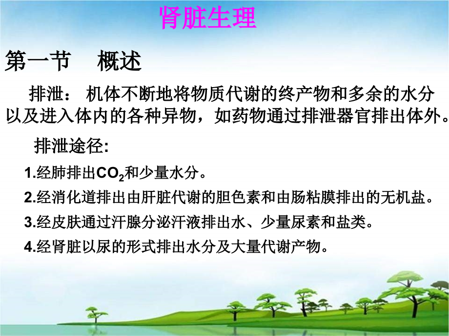 肾脏排泄功能.ppt_第2页