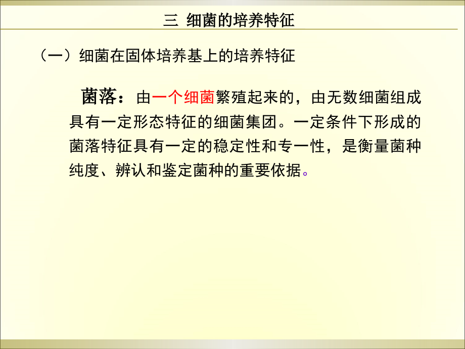 第二章 细菌(2).ppt_第2页