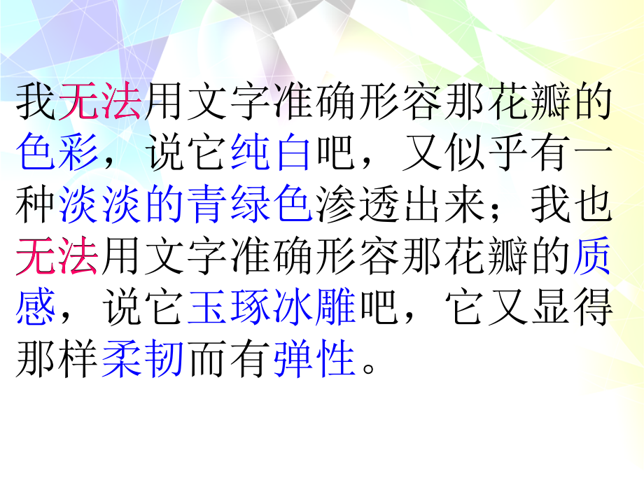 广玉兰课件.ppt_第2页