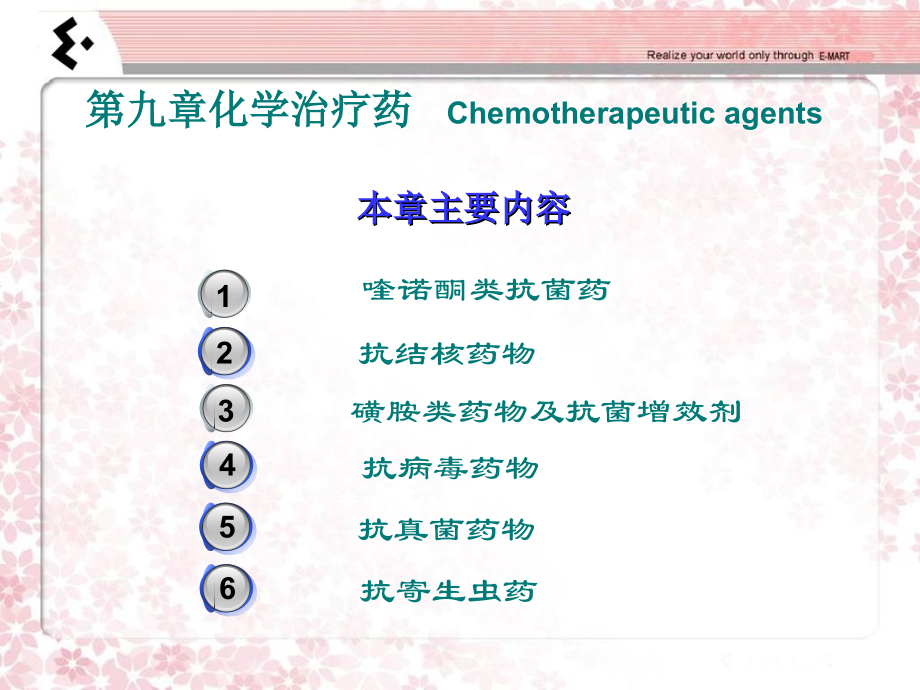 第九章-药物化学.ppt_第2页