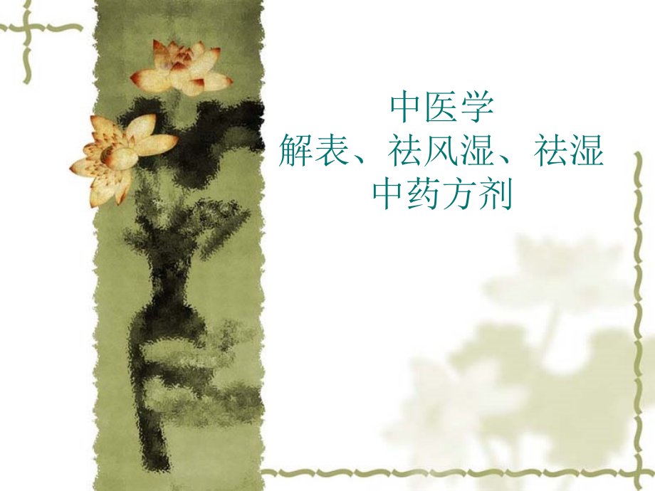 解表祛湿祛风湿药方.ppt_第1页