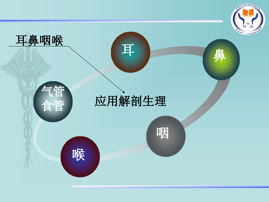 第四章耳鼻咽喉解剖PPT.ppt_第2页