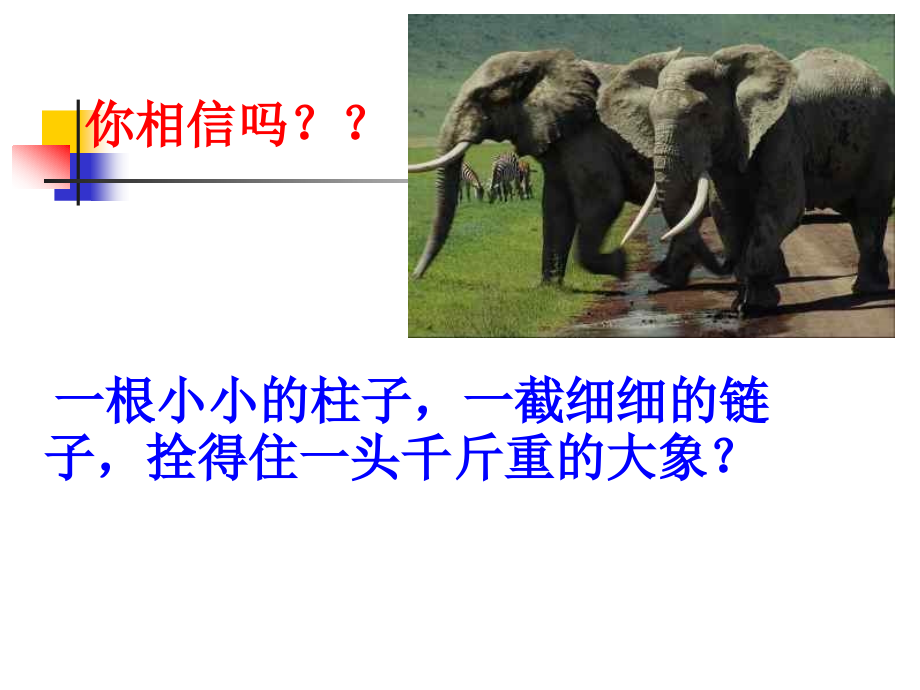 好习惯伴终身主题班会课件.ppt_第2页