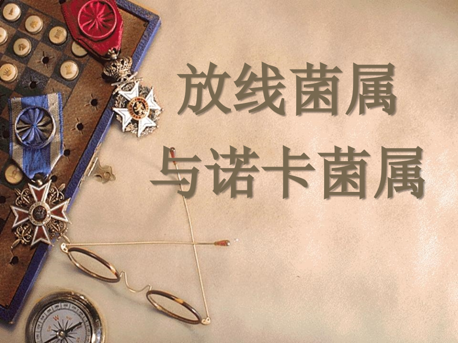 放线菌属.ppt_第1页