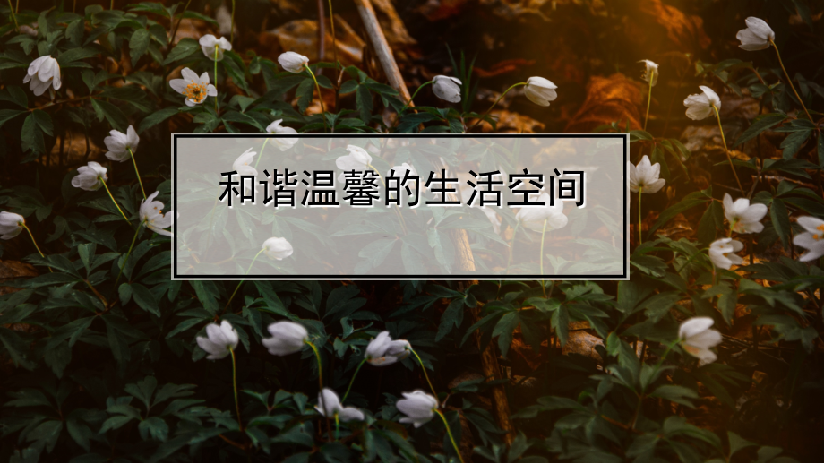 活动四　设计、实践、体验.pptx_第1页