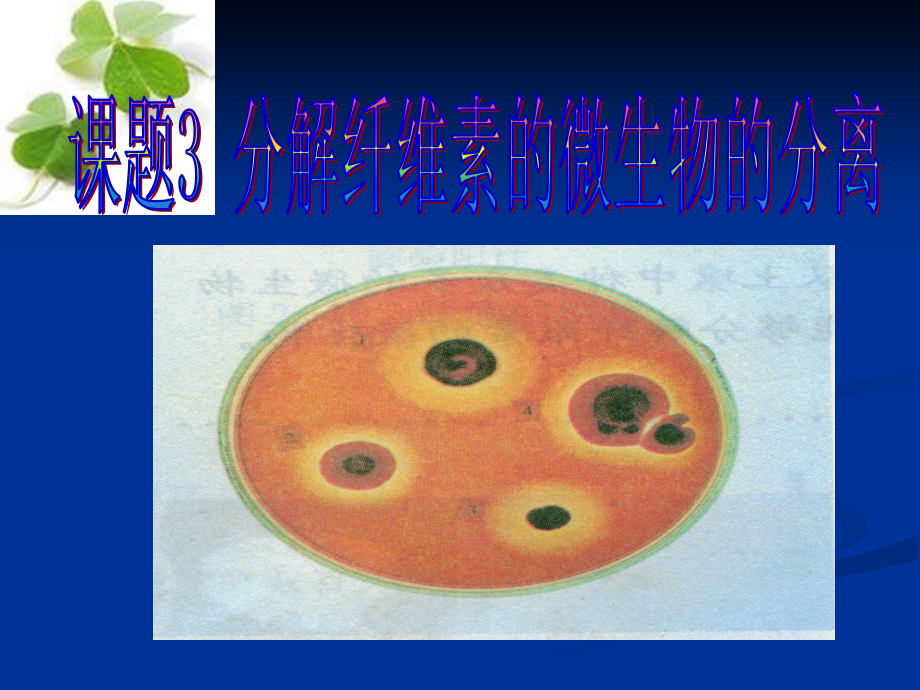 高二生物选修1_课题3_分解纤维素的微生物的分离.ppt_第1页