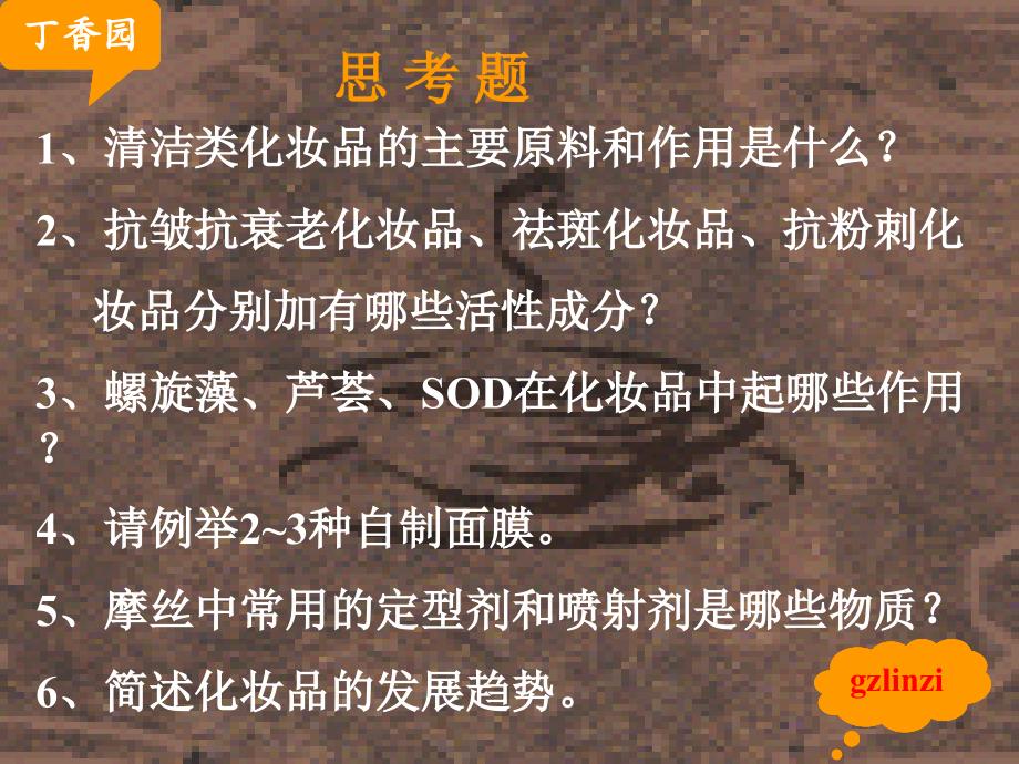 各类化妆品简介(美女必看).ppt_第2页