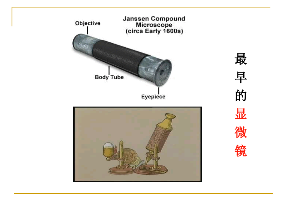 第一章_人类探索细胞的历史(第一课时).ppt_第2页