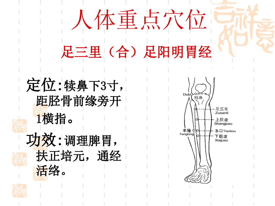 第十五章 常见病的推拿治疗.ppt_第2页