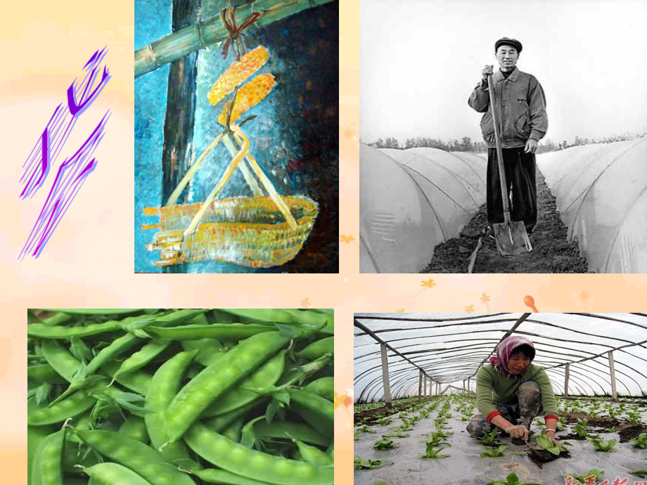 上金小学父亲的菜园.ppt_第2页