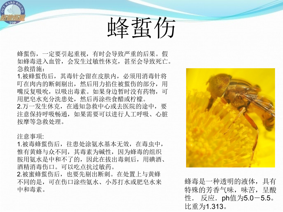 户外急救知识(必备).ppt_第2页