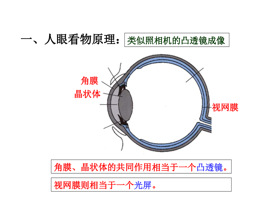 四、眼睛和眼镜.ppt_第2页
